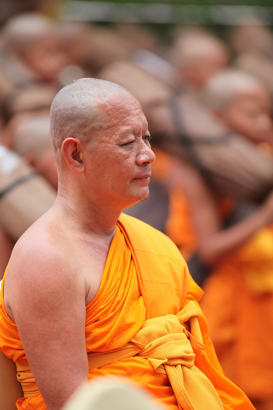 monk, buddhist, meditate, tradition, ceremony, orange, robe HD wallpaper