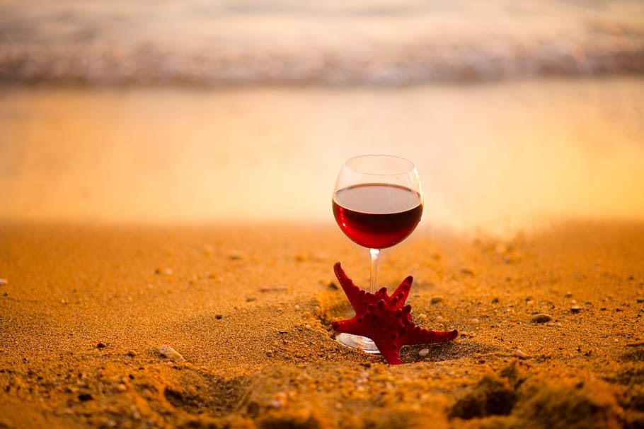 wine glass with wine standing starfish photography on sand HD wallpaper