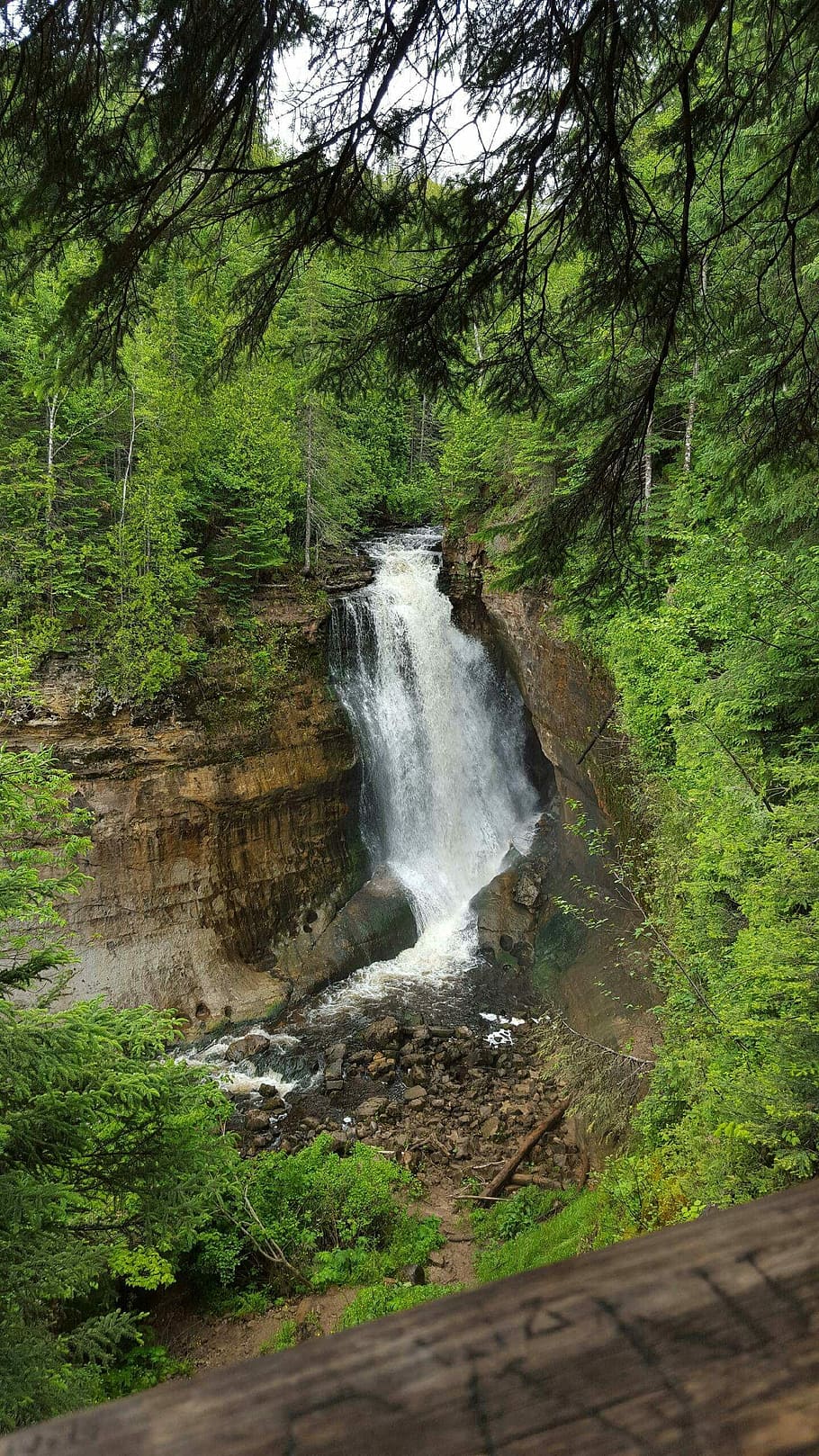 Waterfall, Trees, Peaceful, Nature, landscape, forest, green HD wallpaper