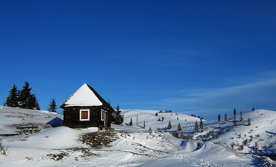 blue, winter, nature, snow, cold temperature, architecture HD wallpaper