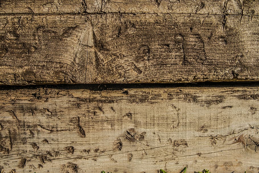 wood, train, rails, railway, via, travel, trunks, backgrounds HD wallpaper