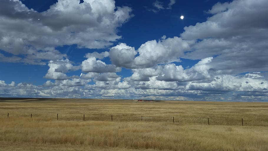 sky, prairie, landscape, clouds, scenery, skies, summer, cloud - sky HD wallpaper