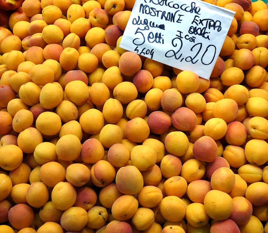 apricots, fruit, orange, background, food, orange fruit, dessert HD wallpaper