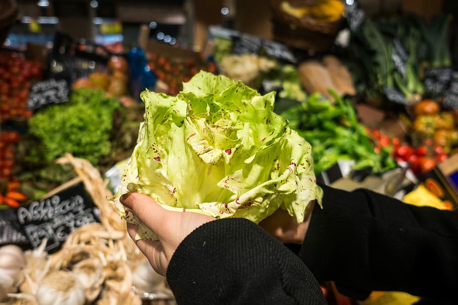 Holding lettuce in a grocery store, hands, healthy, market, vegetable, HD wallpaper