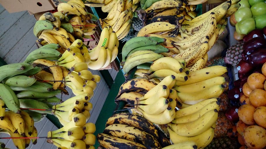 Bananas, fruit, green, tropical, yellow, food, freshness, healthy Eating HD wallpaper