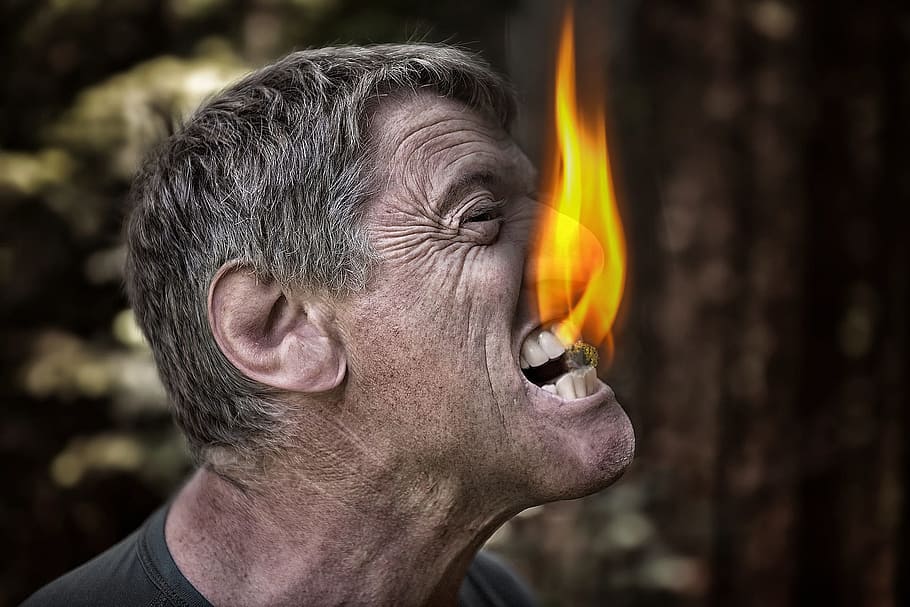 man in black shirt, bite, fire, coal, angry, nature, animal HD wallpaper