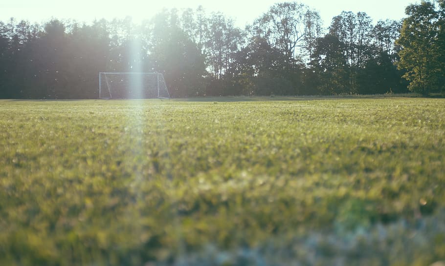 worm's view of soccer goalie on lawn near tall trees, tilt shift lens photography of soccer goal HD wallpaper