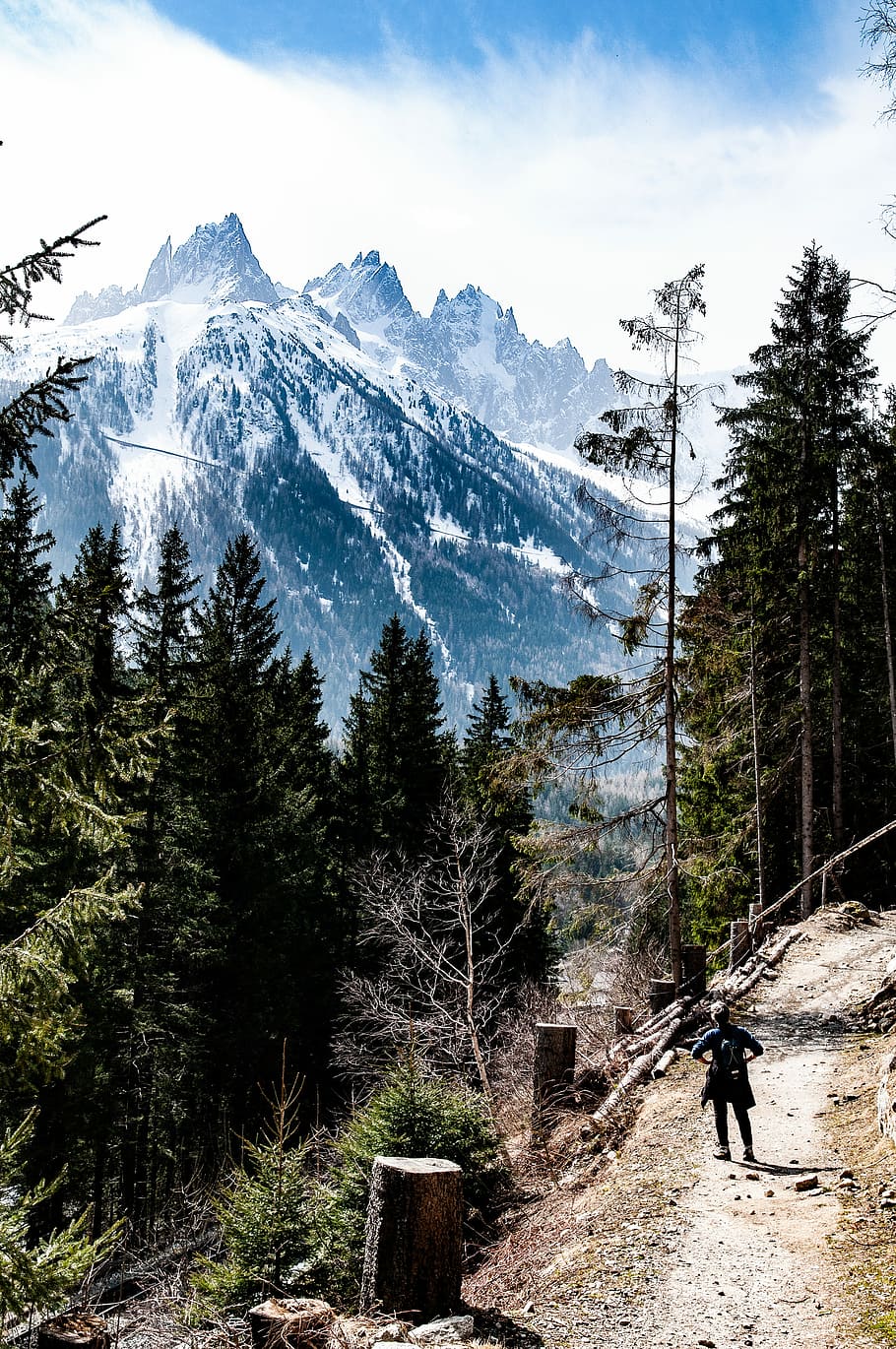 person standing near the tree, person standing on mountain trail HD wallpaper