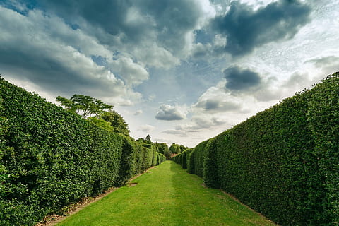green lawn grass pathway during daytime, Artistic, Background HD wallpaper