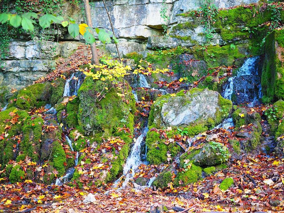 swell, waterfall, goods steiner waterfalls, kalktuffberg, tufa, HD wallpaper