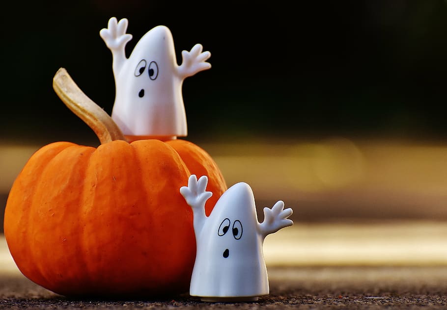 photograph of orange pumpkin with two white ghosts, halloween, HD wallpaper