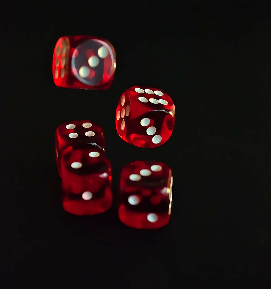 Gambling dice games at home