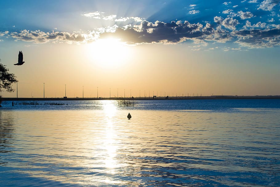 rio, clouds, sol, bird, nature, water, afternoon, sky, sunset HD wallpaper