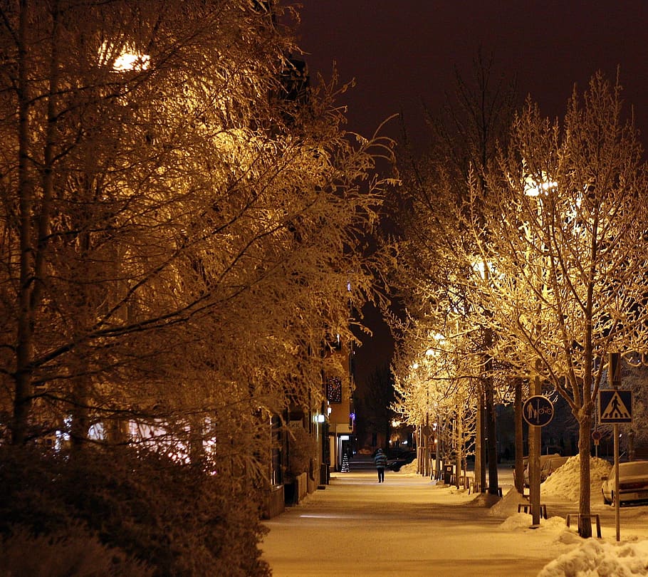 person walking on pathway between trees at nighttime, oulu, finland
