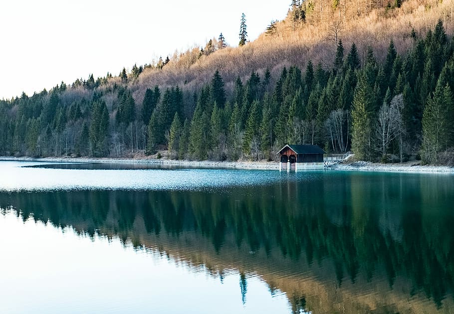 brown and blue house near body of water and trees during daytime, shed beside of body of water near palm tree HD wallpaper
