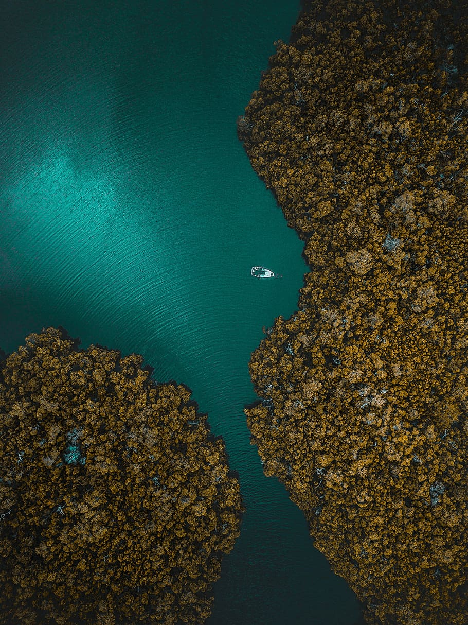 aerial photography of white boat surrounding trees, aerial photo of white boat on lake HD wallpaper