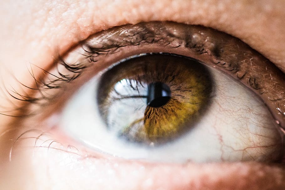 human eye, opened human eye, brown, macro, pupil, iri, eyelash HD wallpaper
