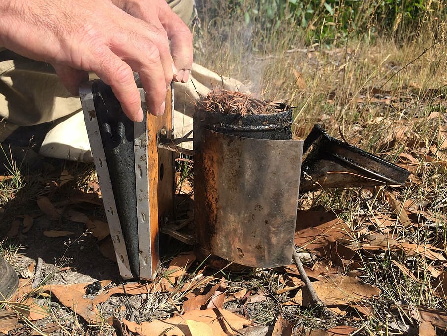beekeeper, beehive, smoker, beekeeping, apiary, apiarist, worker HD wallpaper
