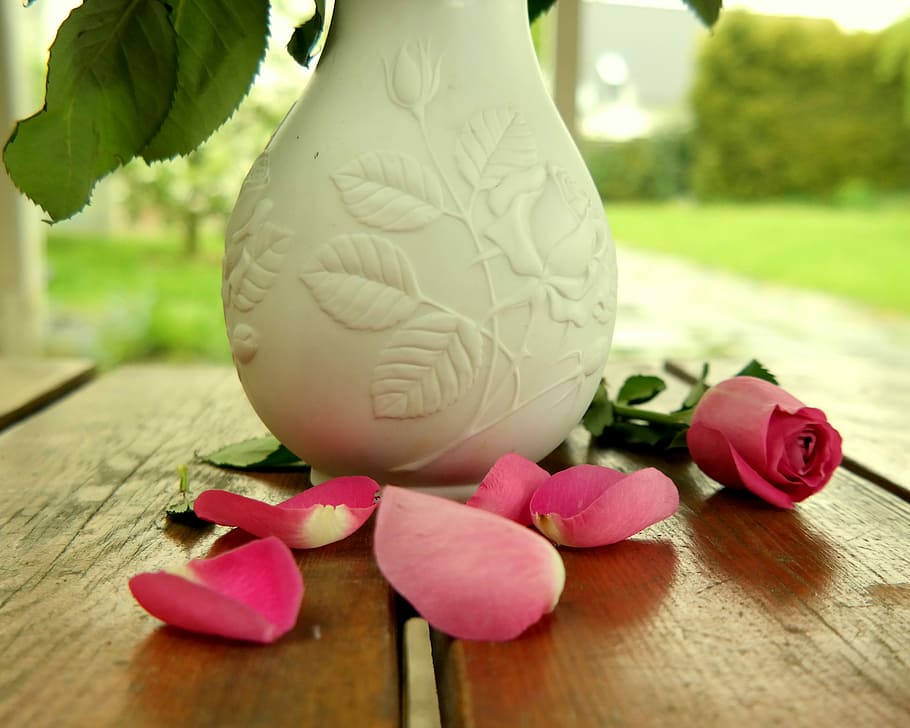 Vase, Table, Bloom, Decoration, rose, flower vase, plant, flowers HD wallpaper