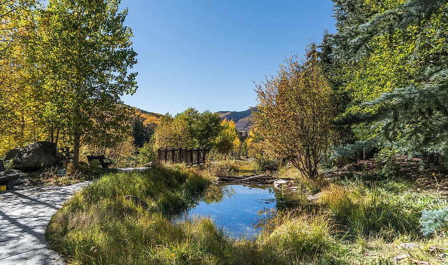 brown wooden foot bridge near trees, vail, colorado, pond, foliage, HD wallpaper