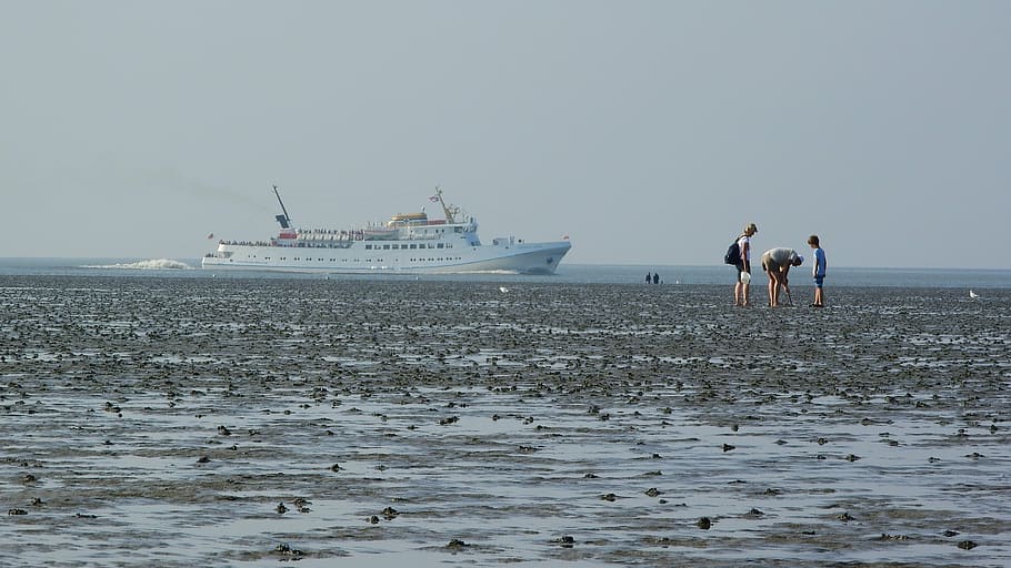 beach, sea, ship, sandy beach, holidays, north sea, germany HD wallpaper