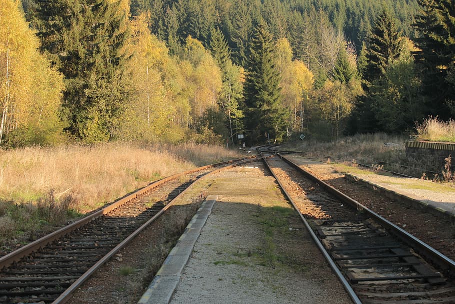 Nature, Track, Summer, Forest, Stop, south bohemia, trees, train HD wallpaper