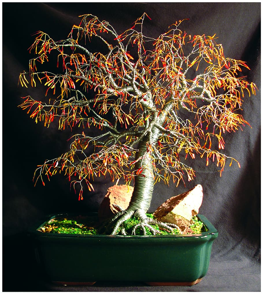 bonsai, tree, sculpture, wire, art, work, nature, sal, potted plant HD wallpaper
