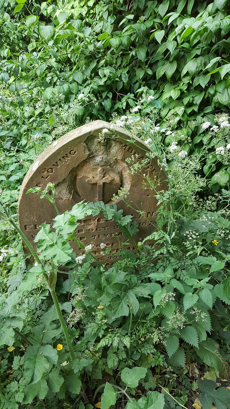 gravestone, graveyard, overgrown, headstone, churchyard, spooky HD wallpaper