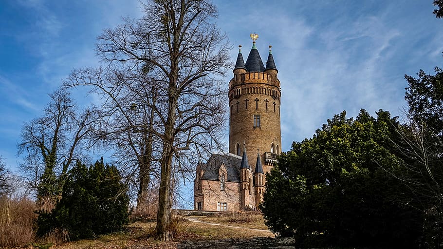 brown castle, architecture, old, tower, potsdam, tree, plant HD wallpaper