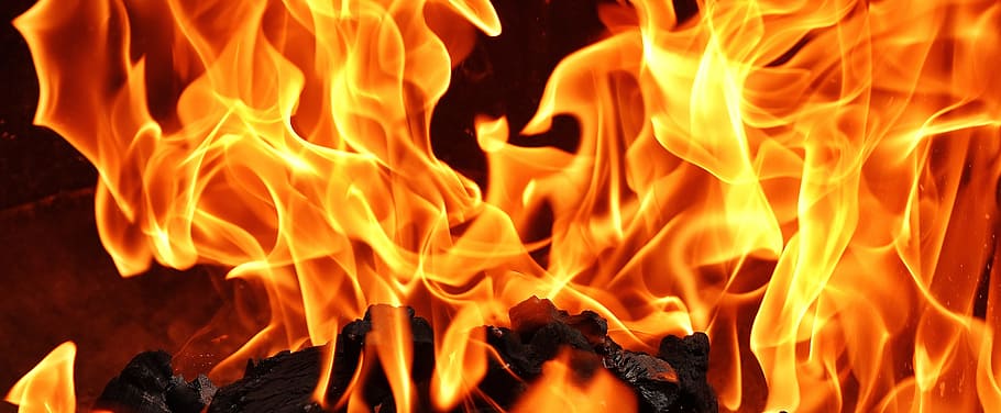 fire CGI photo, flame, carbon, burn, mood, campfire, fireplace, HD wallpaper