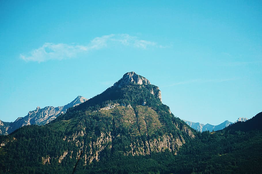 mountain covered by trees and plants, mountain with tall trees under white cloud blue skies HD wallpaper