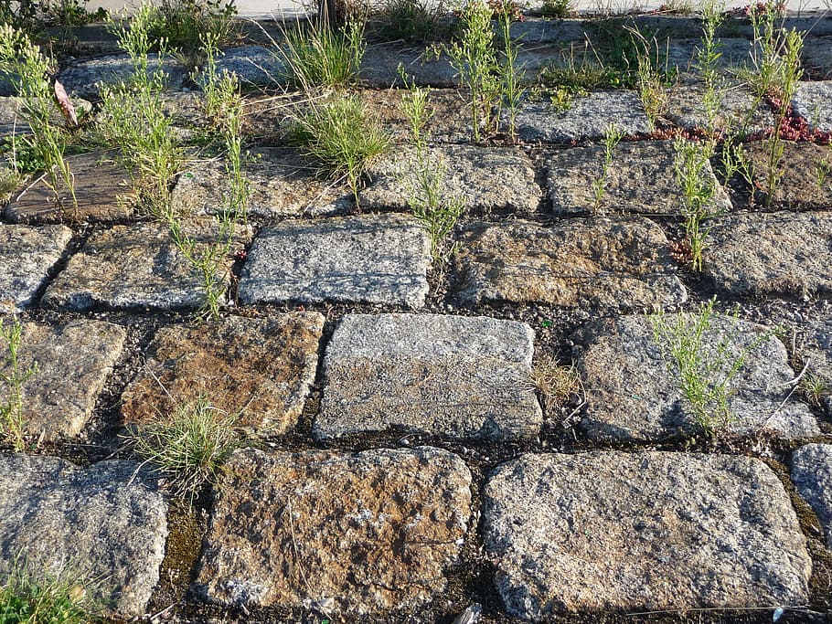 patch, road, away, old, unused, transient, past, underground HD wallpaper