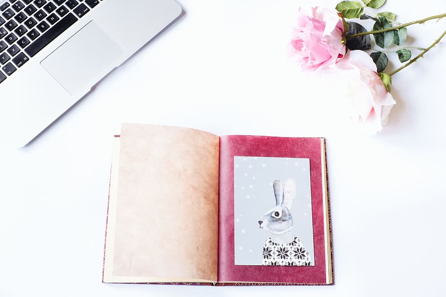 Styled Photo Background with Rabbit, concepts And Ideas, computer HD wallpaper