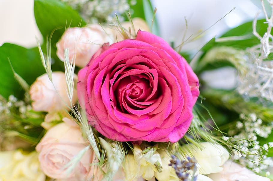 pink rose flower, Wedding, Bouquet, Flowers, vibrant, tenderness, HD wallpaper