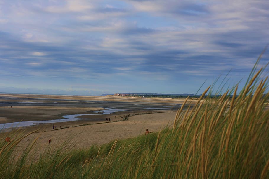 green grass field near body of water, landscape photo of sand and grass HD wallpaper