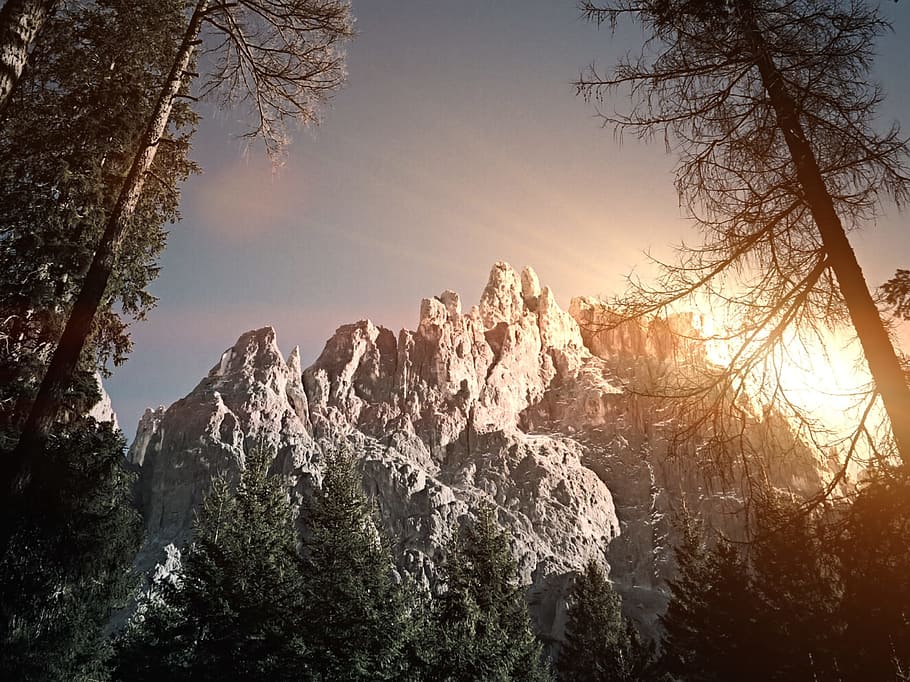 worm's eye view photography of grey mountain, rock mountain with trees HD wallpaper