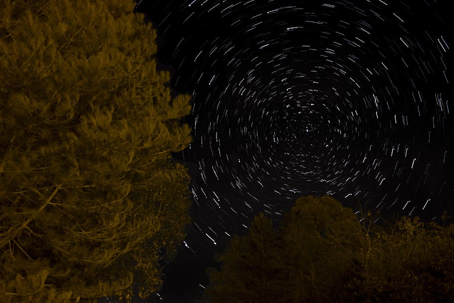 Star, Trail, Long, Exposure, Night, light, black, bright, shine HD wallpaper