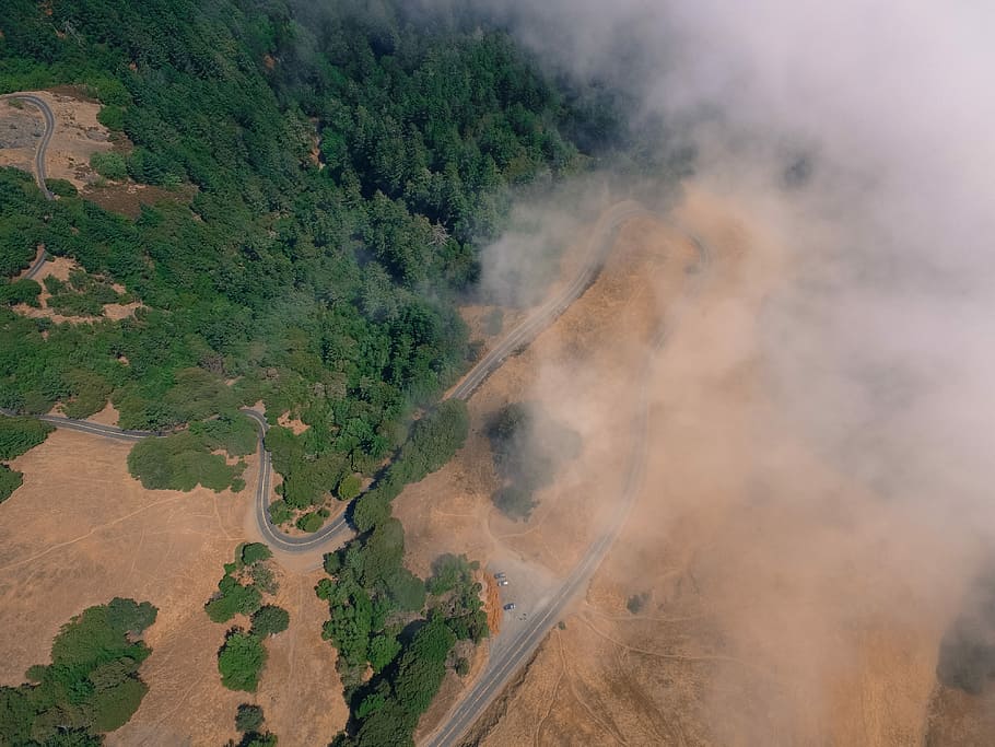 bird's eye view photography of road, untitled, tree, forest, cloud HD wallpaper