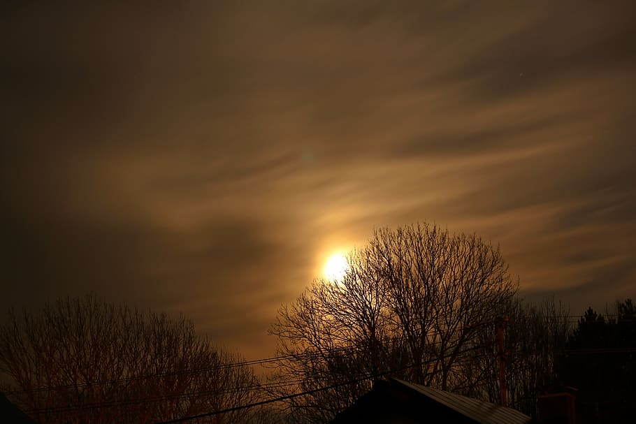 moon, clouds, sky, night, cloud - sky, sunset, tree, no people HD wallpaper