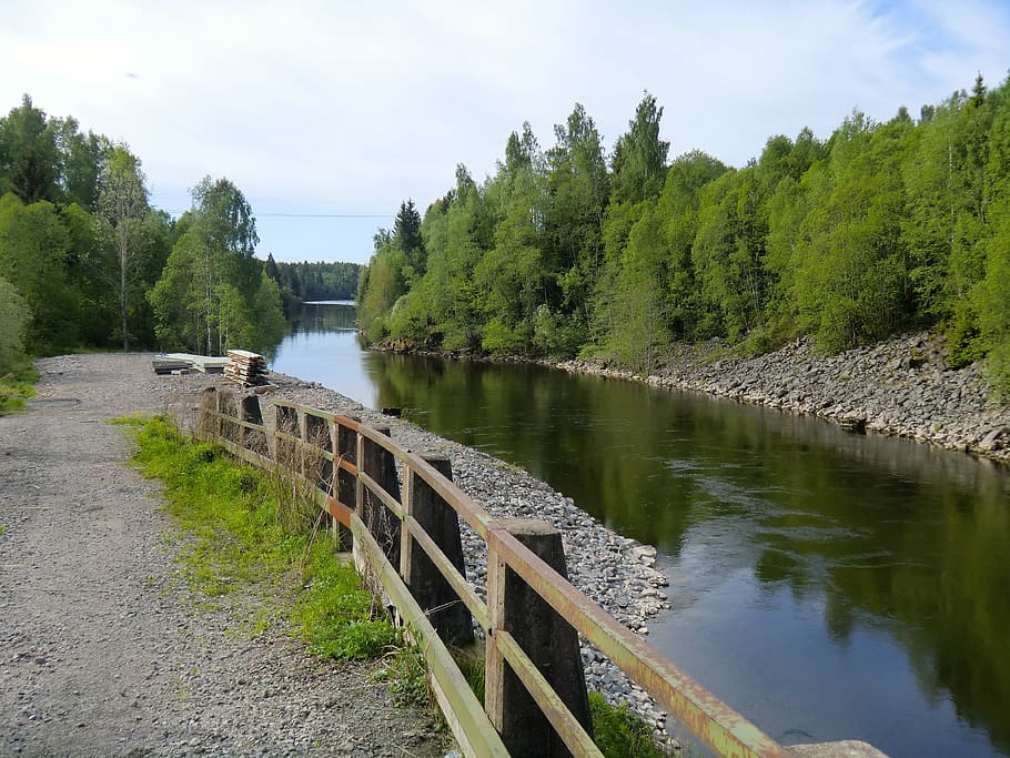 Sweden, Forest, Trees, Woods, River, stream, water, sky, clouds HD wallpaper