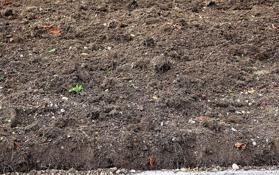 brown soil, humus, ground, arable, autumn, fallow, no people HD wallpaper