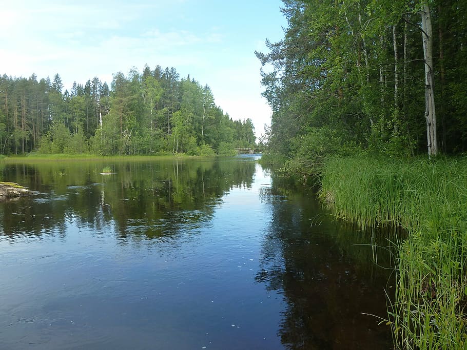 water, river, summer, blue, himmel, bureå, bure river, tree HD wallpaper