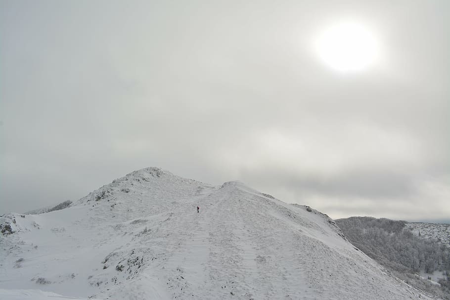 snowy, hill, winter, cold, snowfall, landscape, nature, outdoor HD wallpaper