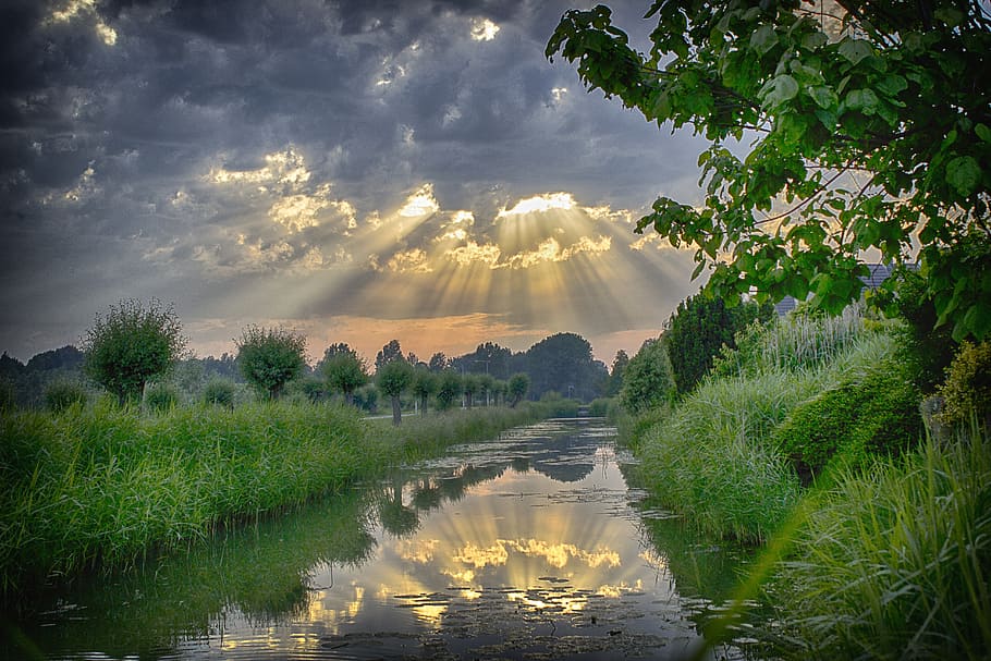 gray body of water in the middle of grassland, sun rays, sunset HD wallpaper