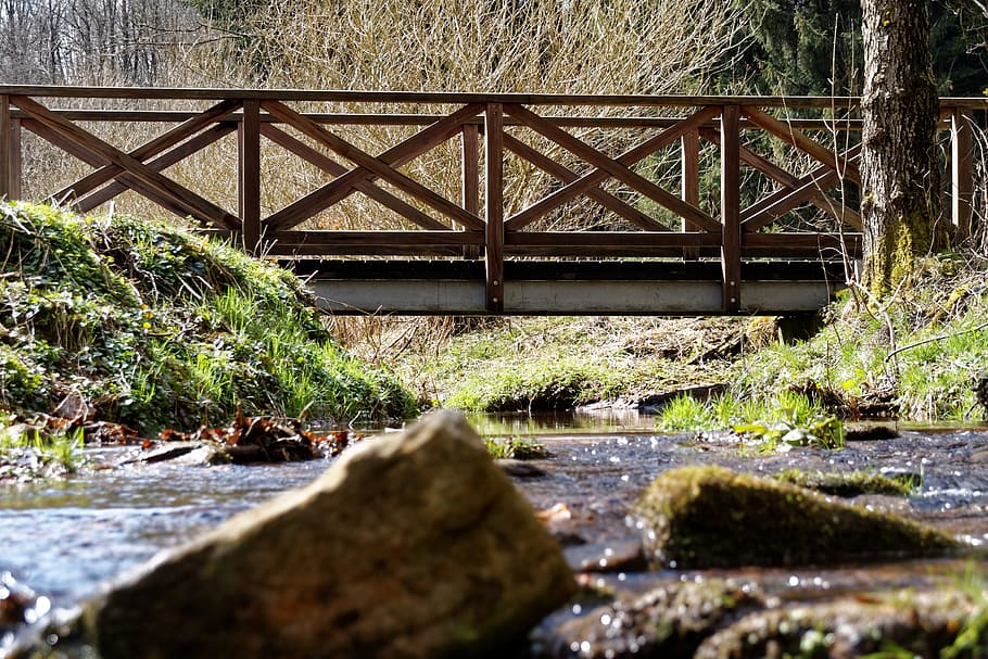 bach, water, forest, black forest, bridge, nature, landscape HD wallpaper