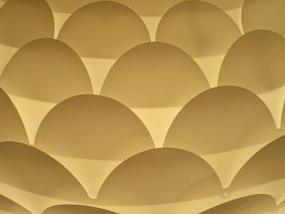 delicate background, organic, white, pinecone, simple, backgrounds HD wallpaper