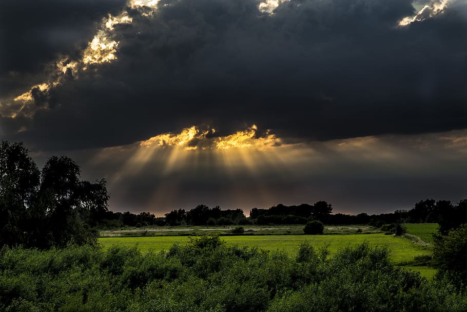 green leaf plants under black clouds at daytime, Evening, Sunset HD wallpaper