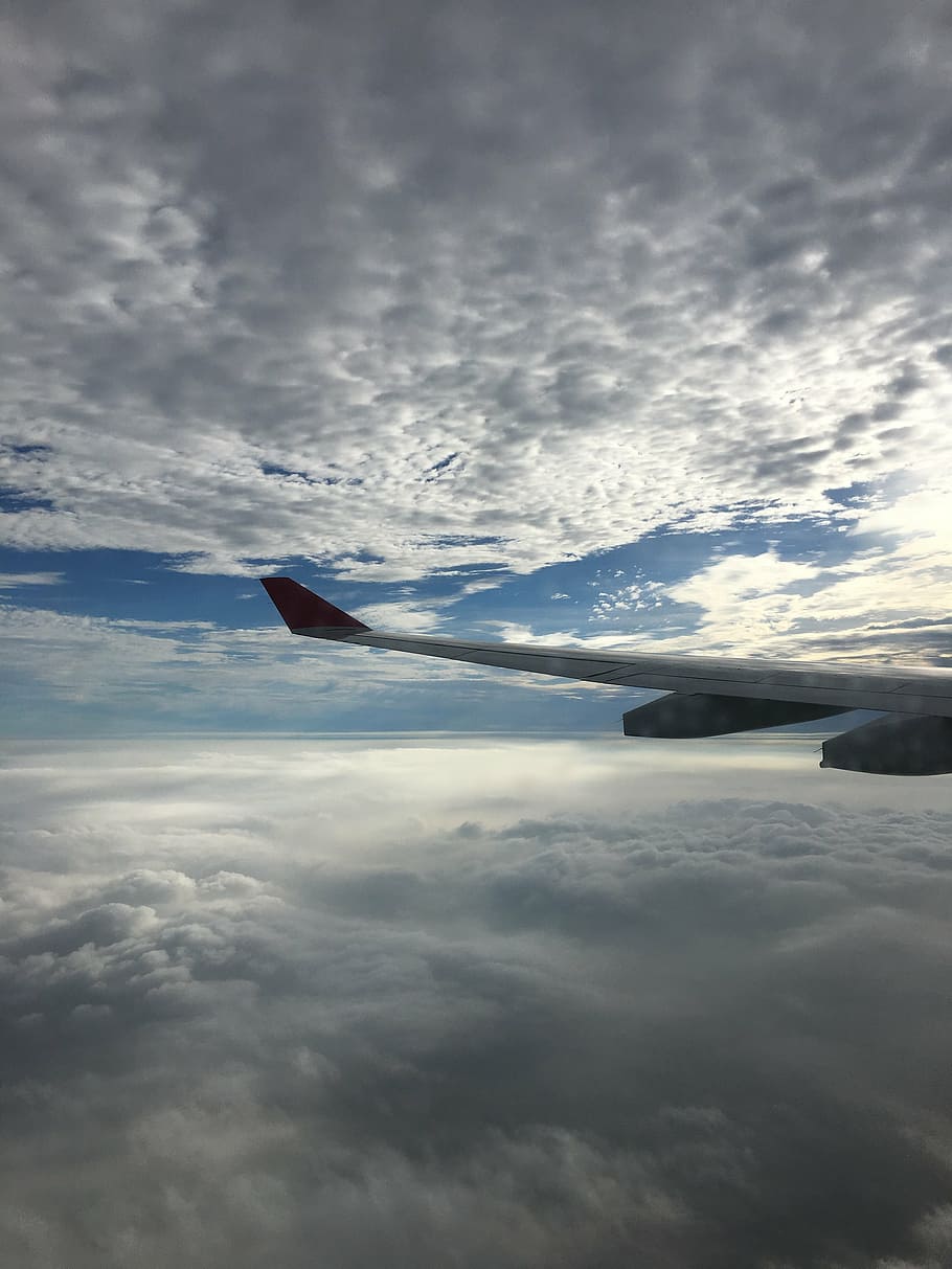 flight, wings, clouds, sky, plane, airplane, nature, cloud - Sky HD wallpaper