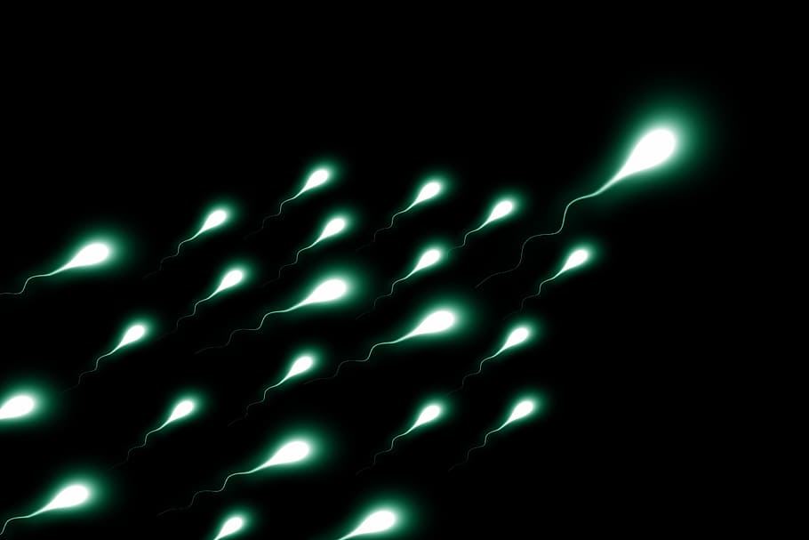 sperms with black background, Cum, Winner, First, sperium, competition