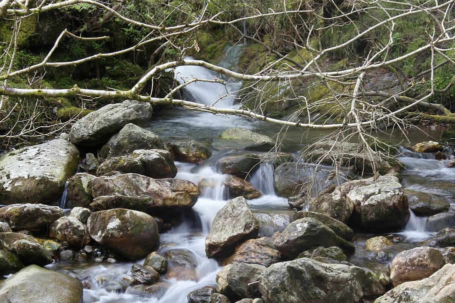 stream, creek, flow, water, nature, ireland, wicklow, glendalough